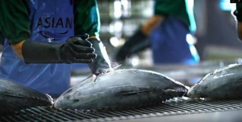 泰國食品巨頭ASIAN聯手monchou慕安士布局中國寵物服務市場