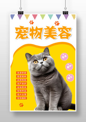 專業(yè)寵物服務(wù) 寵愛無限——限時促銷火熱開啟