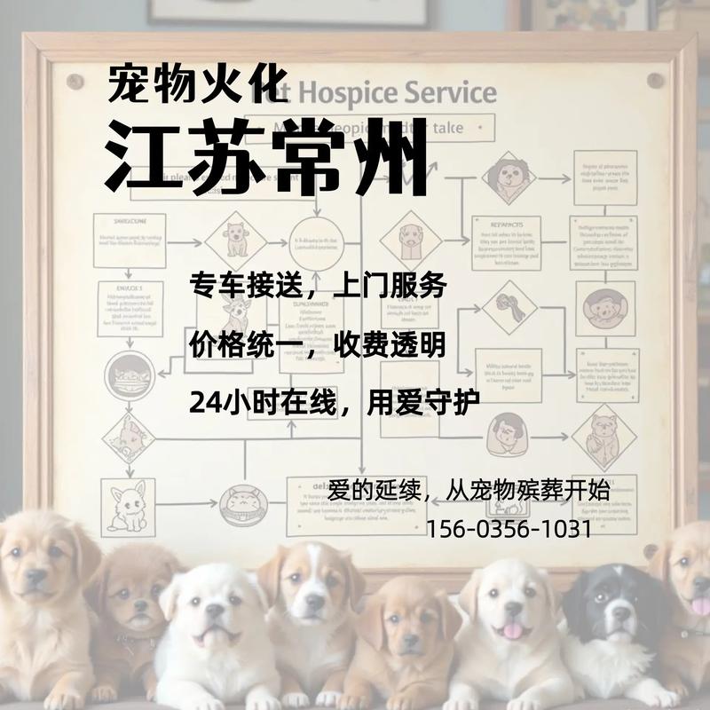 常州寵物善終服務(wù)指南 給予毛孩子最后的尊嚴(yán)與告別