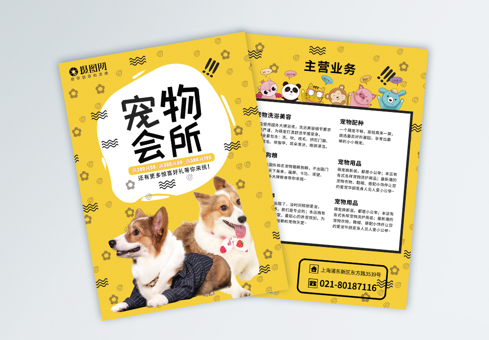 寵物箱海報設(shè)計(jì) 連接溫暖與專業(yè)的寵物服務(wù)窗口