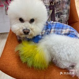 2021年6月18日 候睦寵物美容服務部信息查詢指南（基于360地圖）